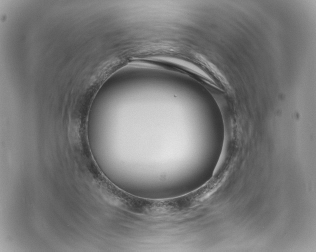 X0000070370209200606161326