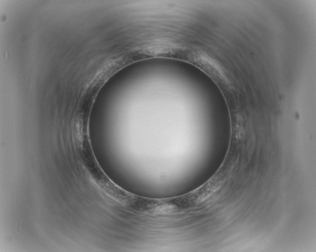 X0000070370210200606161326