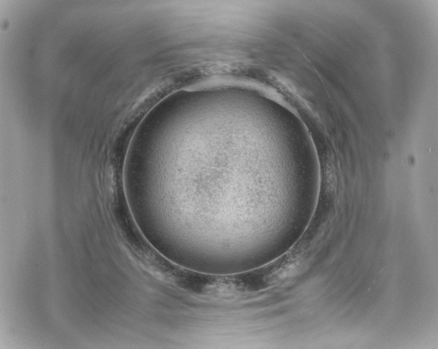 X0000070370211200606161326