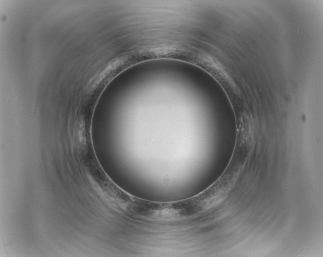 X0000070370212200606161326