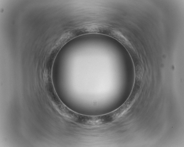 X0000070370213200606161326