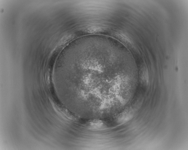 X0000070370214200606161326