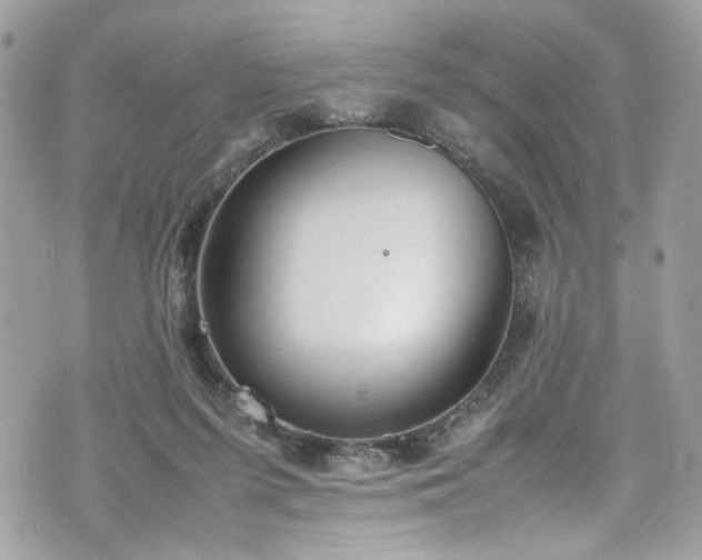 X0000070370215200606161326