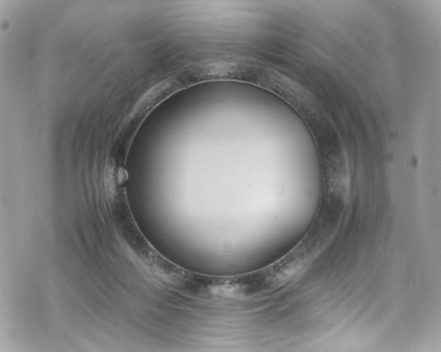 X0000070370216200606161326