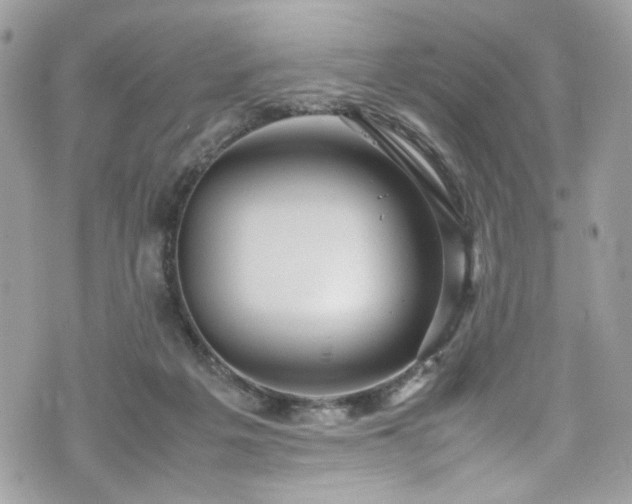 X0000070370217200606161326