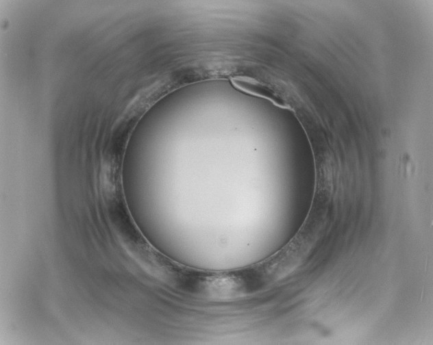 X0000070370218200606161325