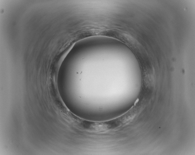 X0000070370221200606161325