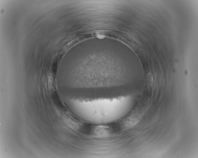 X0000070370222200606161325