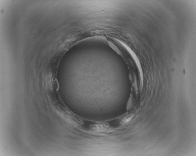 X0000070370223200606161325