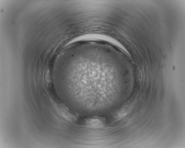 X0000070370224200606161325