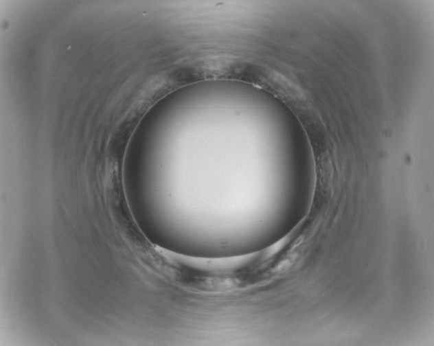 X0000070370225200606161325