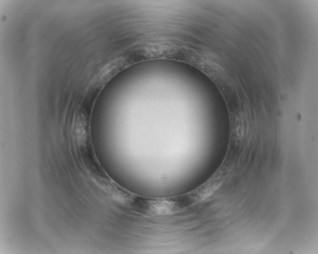 X0000070370226200606161325