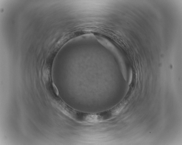 X0000070370227200606161325