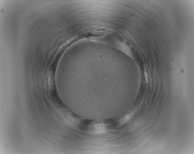 X0000070370228200606161325