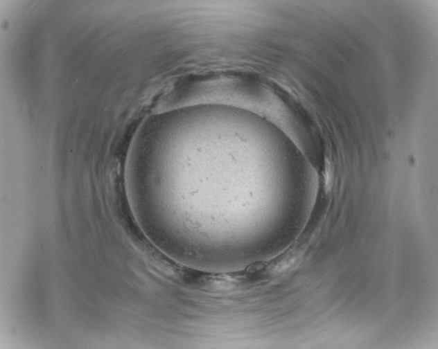 X0000070370229200606161325