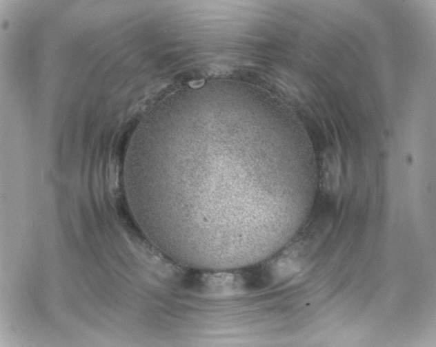 X0000070370230200606161325