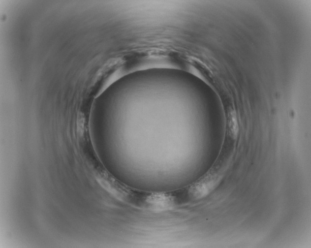 X0000070370231200606161325