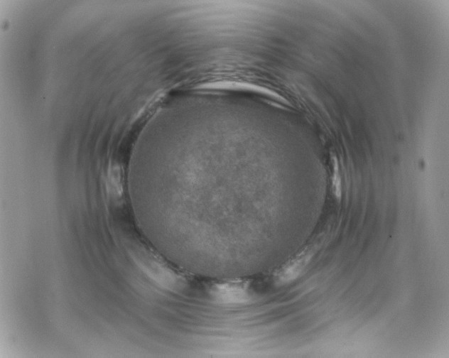 X0000070370232200606161325