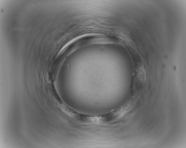 X0000070370233200606161325