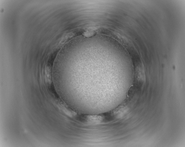 X0000070370234200606161325