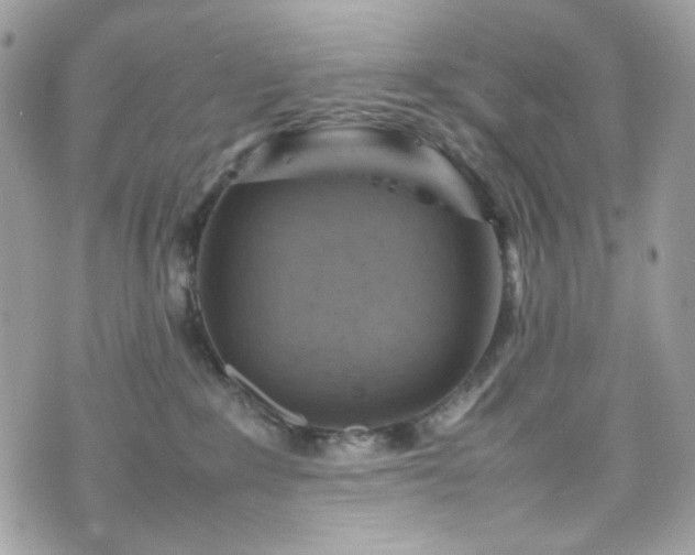 X0000070370235200606161325