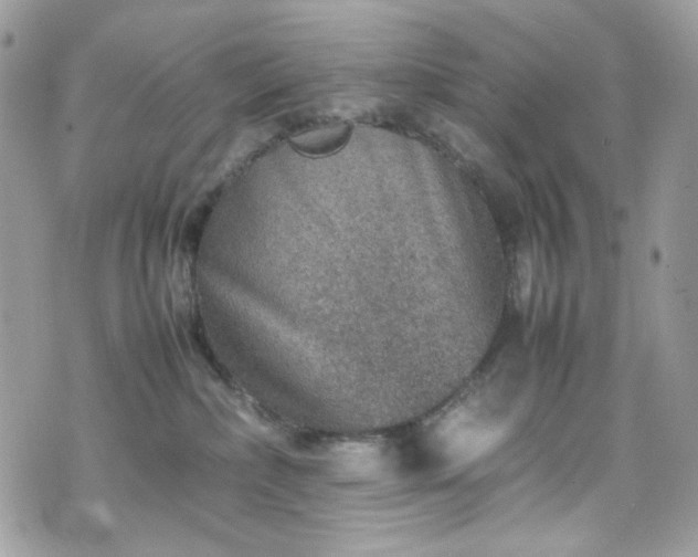 X0000070370236200606161325