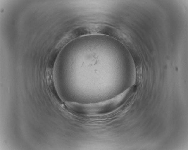 X0000070370237200606161325