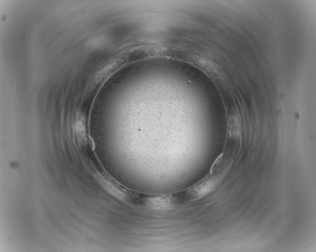 X0000070370238200606161325