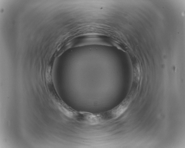 X0000070370239200606161325