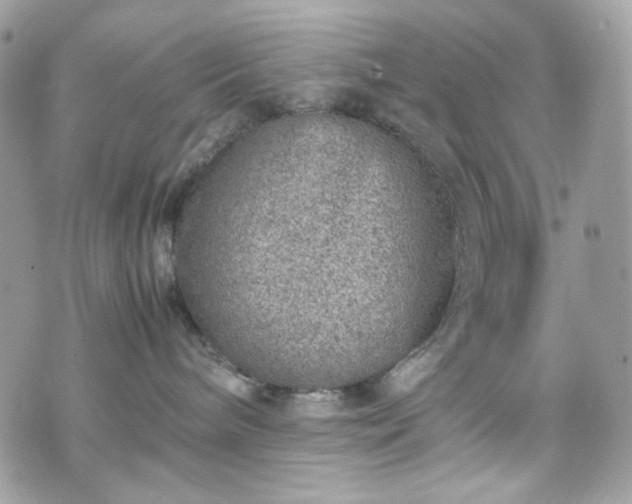 X0000070370240200606161325