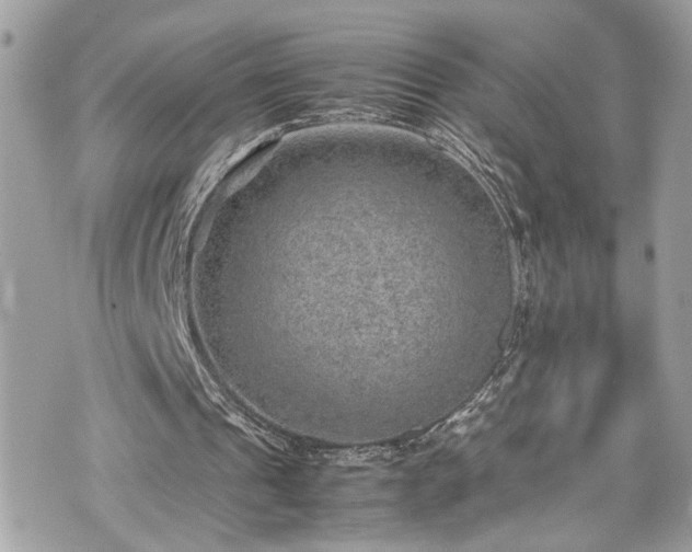 X0000070370241200606161324