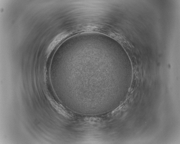 X0000070370242200606161324