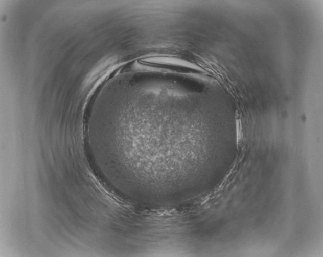 X0000070370243200606161324