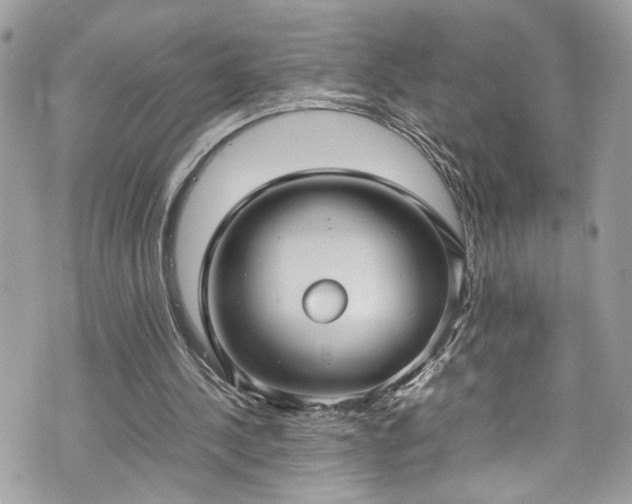 X0000070370244200606161324