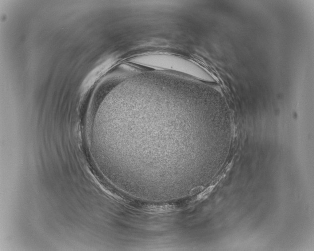 X0000070370245200606161324