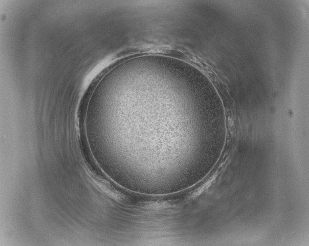 X0000070370246200606161324