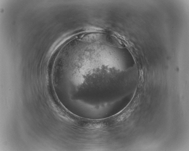 X0000070370247200606161324