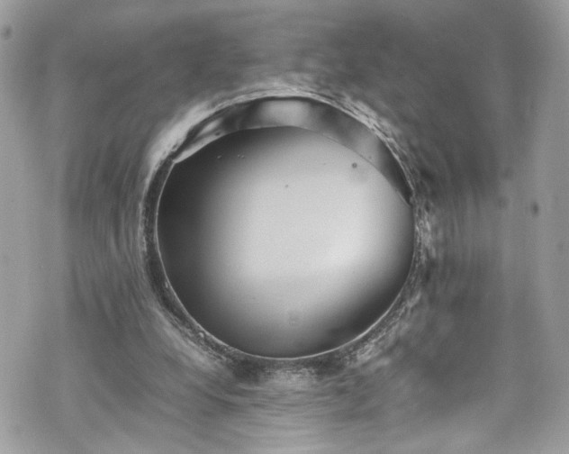 X0000070370248200606161324