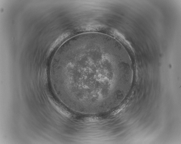 X0000070370250200606161324