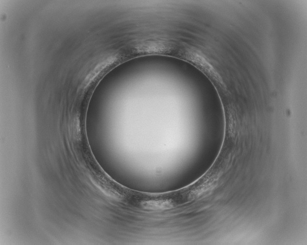 X0000070370251200606161324