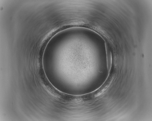 X0000070370252200606161324