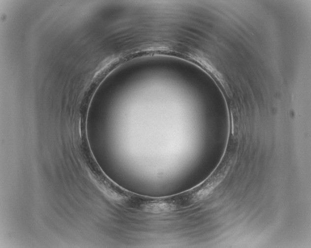 X0000070370253200606161324