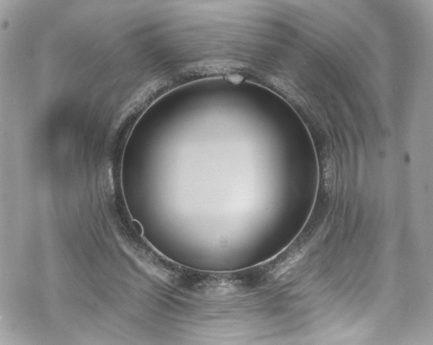 X0000070370254200606161324