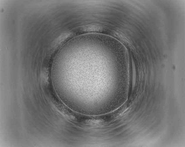 X0000070370255200606161324