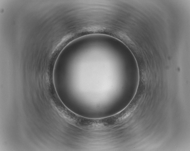 X0000070370256200606161324