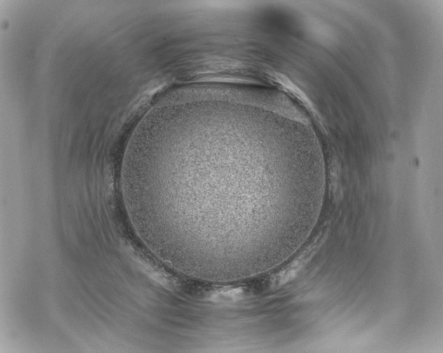 X0000070370257200606161324