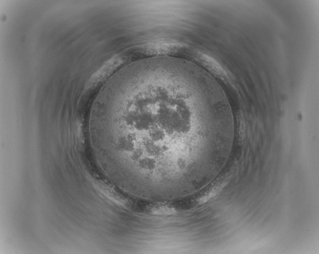 X0000070370258200606161324