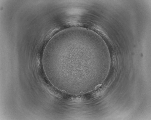 X0000070370259200606161324