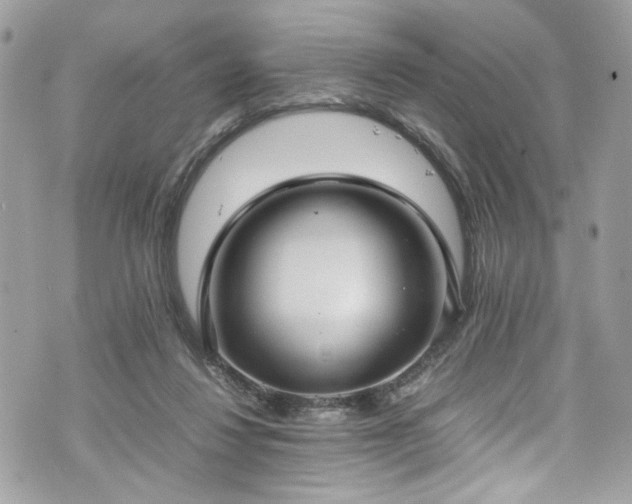 X0000070370260200606161324