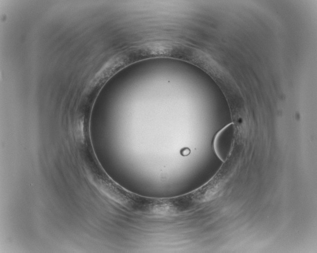 X0000070370262200606161325